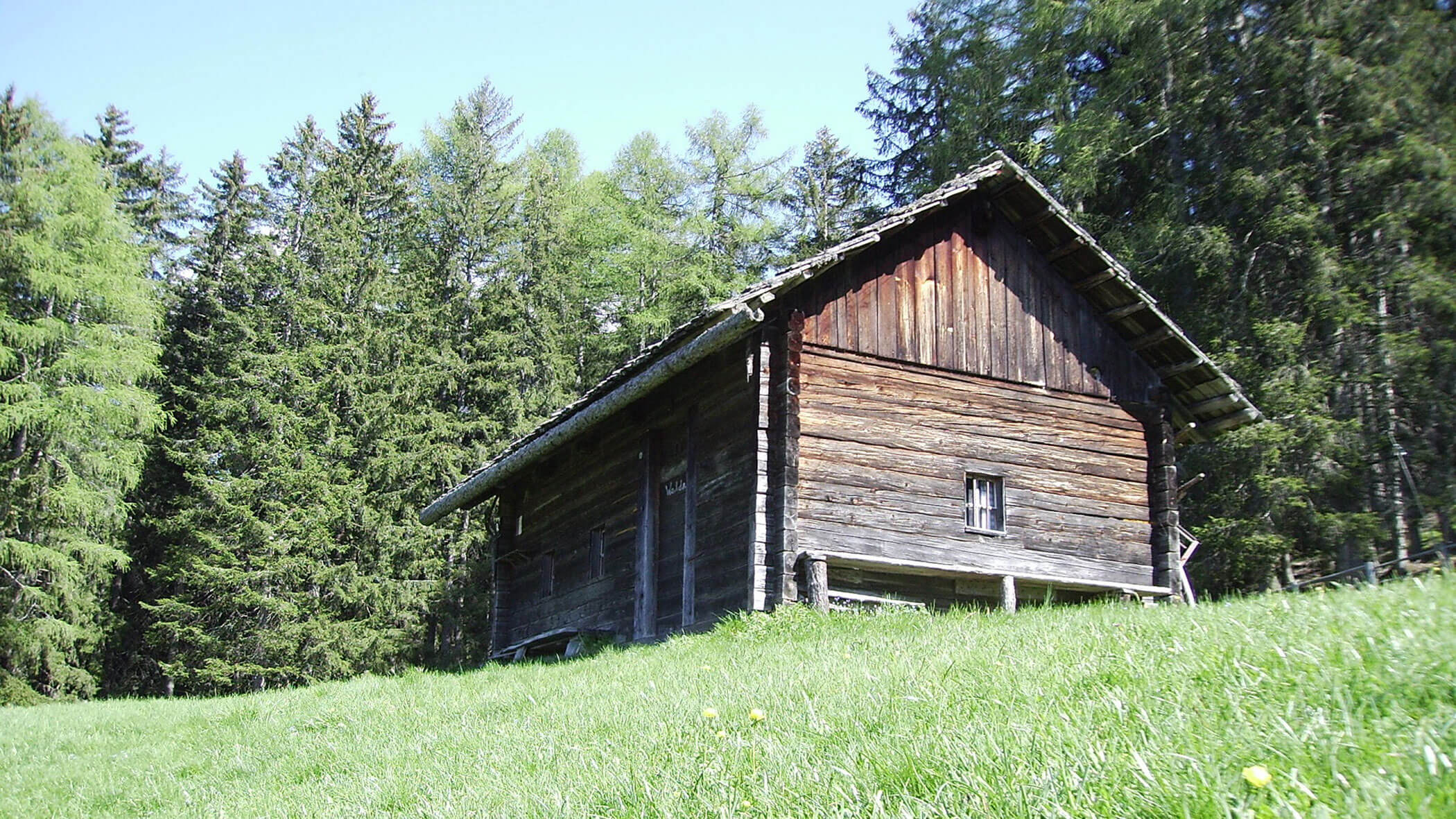 Alte Hütte inmitten von Wiesen und Wäldern - Oberplunerhof