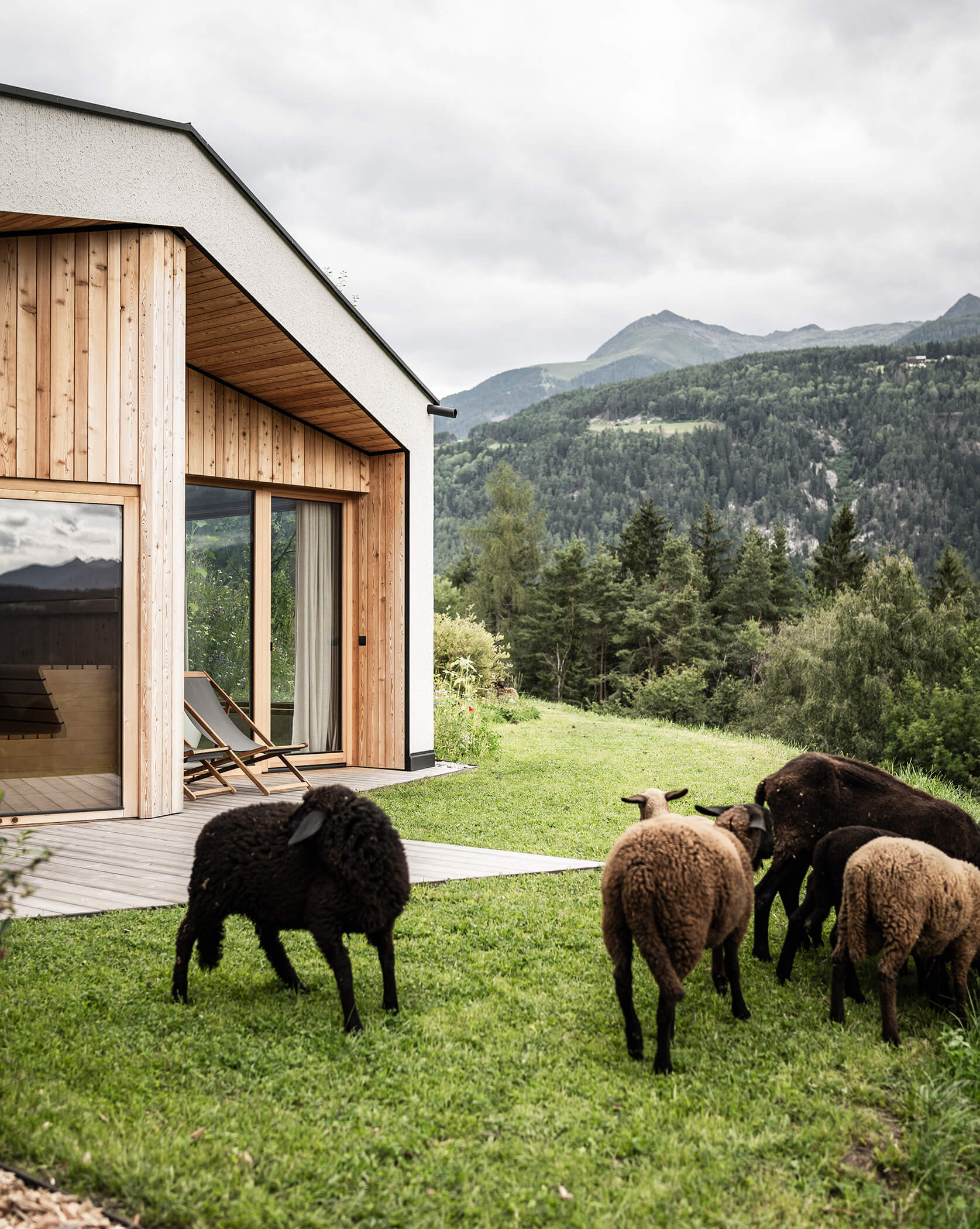 Die Schafe grasen vor den Chalets - Oberplunerhof