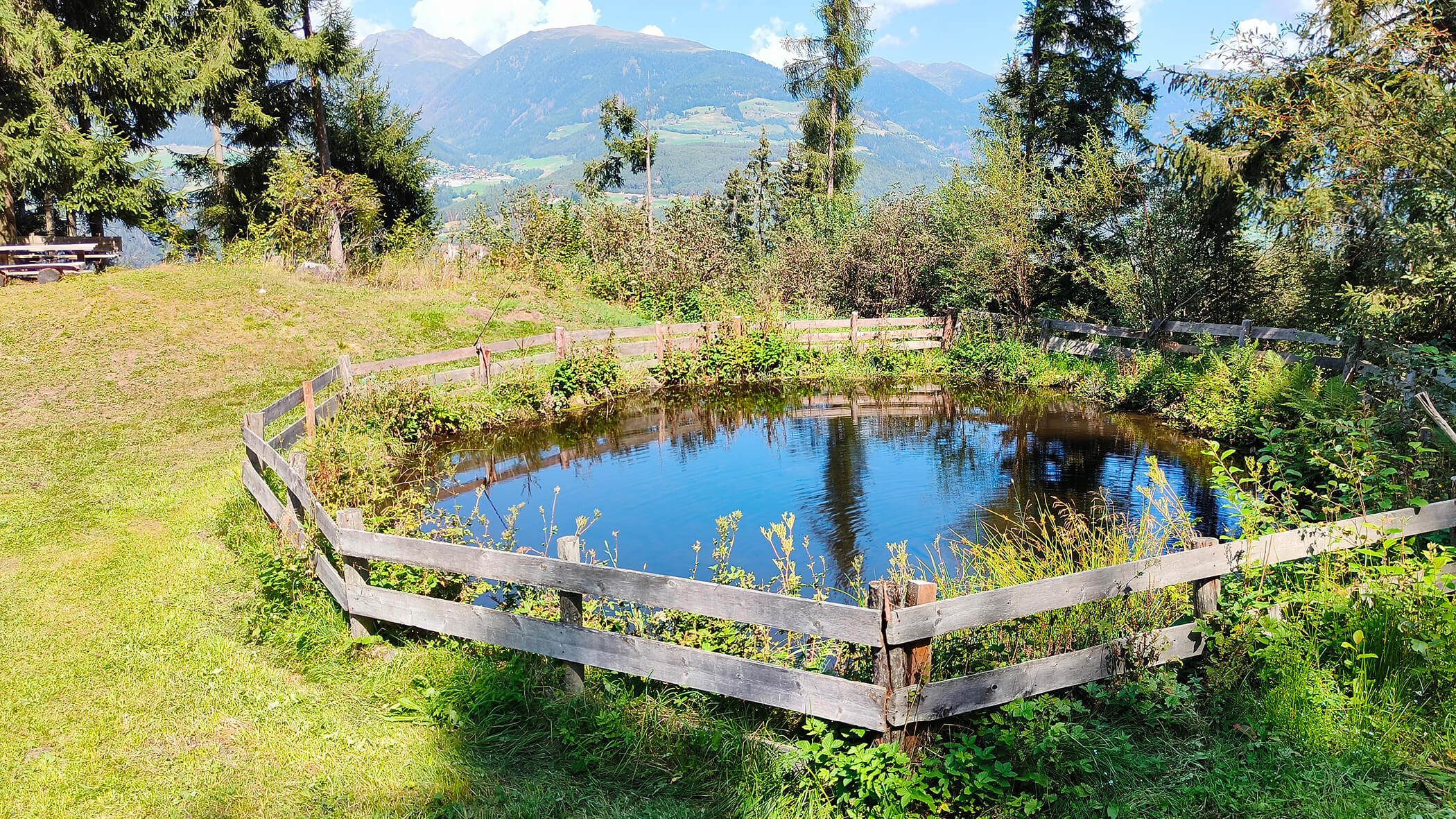 Ein eingezäunter See inmitten einer Wiese und Bäumen - Oberplunerhof