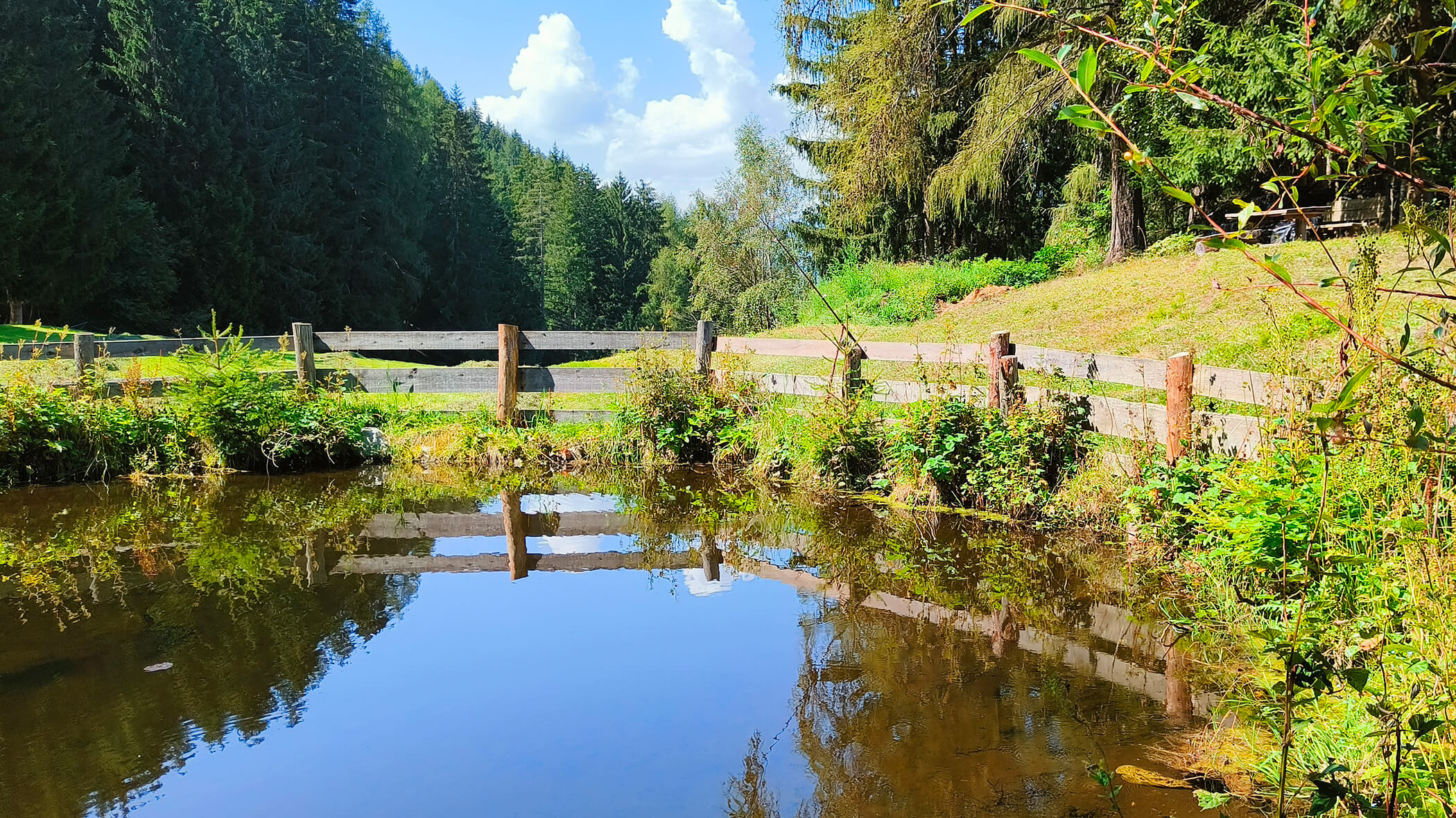 Ein See inmitten einer grünen Wiese und Bäumen - Oberplunerhof
